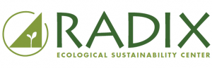 Radix Center Logo